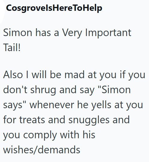 CosgrovelsHere To Help Simon has a Very Important Tail! Also I will be mad at you if you don't shrug and say "Simon says" whenever he yells at you for treats and snuggles and you comply with his wishes/demands