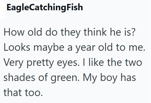 EagleCatching Fish How old do they think he is? Looks maybe a year old to me. Very pretty eyes. I like the two shades of green. My boy has that too.