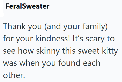FeralSweater Thank you (and your family) for your kindness! It's scary to see how skinny this sweet kitty was when you found each other.