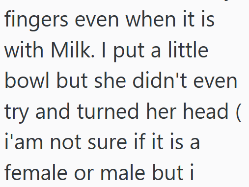 fingers even when it is with Milk. I put a little bowl but she didn't even try and turned her head ( i'am not sure if it is a female or male but i