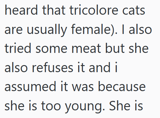 heard that tricolore cats are usually female). I also tried some meat but she also refuses it and i assumed it was because she is too young. She is
