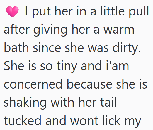 I put her in a little pull after giving her a warm bath since she was dirty. She is so tiny and i'am concerned because she is shaking with her tail tucked and wont lick my