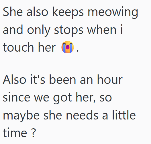 She also keeps meowing and only stops when i touch her . Also it's been an hour since we got her, so maybe she needs a little time?