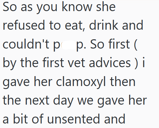 So as you know she refused to eat, drink and couldn't pop. So first ( by the first vet advices) i gave her clamoxyl then the next day we gave her a bit of unsented and