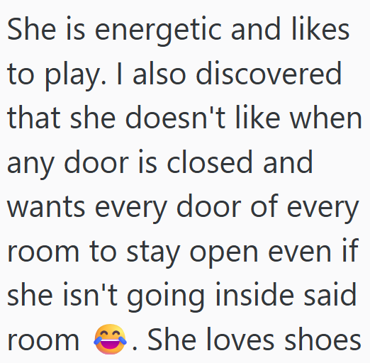 She is energetic and likes to play. I also discovered that she doesn't like when any door is closed and wants every door of every room to stay open even if she isn't going inside said room She loves shoes
