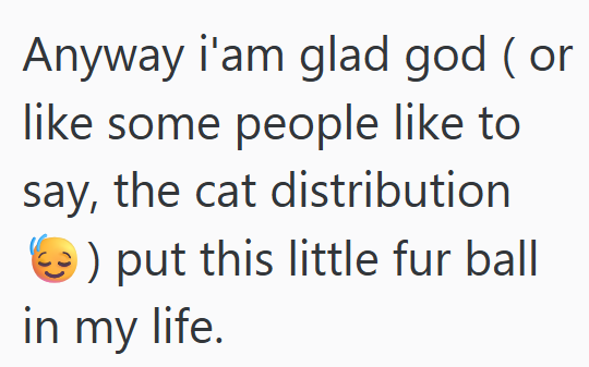 Anyway i'am glad god (or like some people like to say, the cat distribution ) put this little fur ball in my life.
