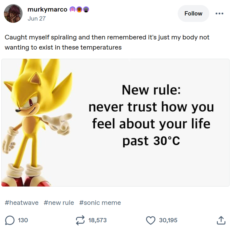 murkymarco Jun 27 Follow Caught myself spiraling and then remembered it's just my body not wanting to exist in these temperatures New rule: never trust how you feel about your life past 30°C #heatwave #new rule #sonic meme ☐ 130 18,573 30,195 ↑