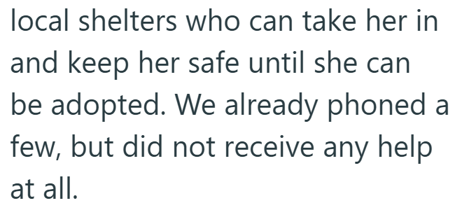 local shelters who can take her in and keep her safe until she can be adopted. We already phoned a few, but did not receive any help at all.