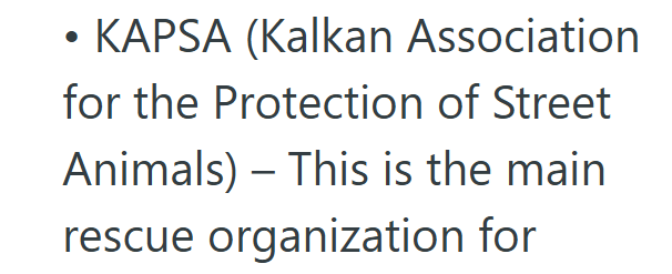• KAPSA (Kalkan Association for the Protection of Street Animals) - This is the main rescue organization for
