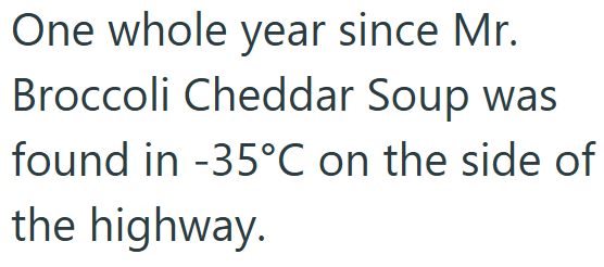 One whole year since Mr. Broccoli Cheddar Soup was found in -35°C on the side of the highway.