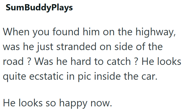 SumBuddyPlays When you found him on the highway, was he just stranded on side of the road? Was he hard to catch? He looks quite ecstatic in pic inside the car. He looks so happy now.