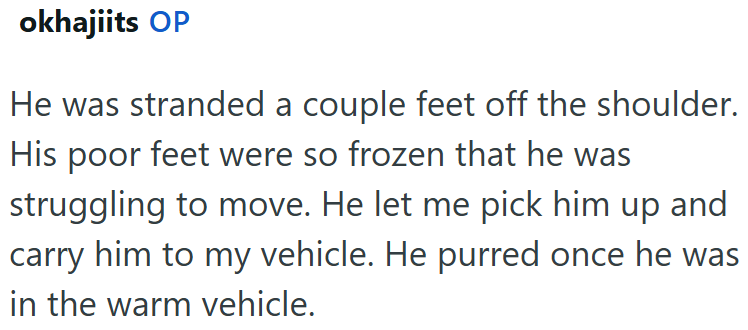 okhajiits OP He was stranded a couple feet off the shoulder. His poor feet were so frozen that he was struggling to move. He let me pick him up and carry him to my vehicle. He purred once he was in the warm vehicle.
