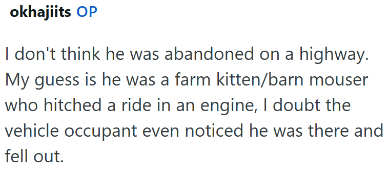 okhajiits OP I don't think he was abandoned on a highway. My guess is he was a farm kitten/barn mouser who hitched a ride in an engine, I doubt the vehicle occupant even noticed he was there and fell out.
