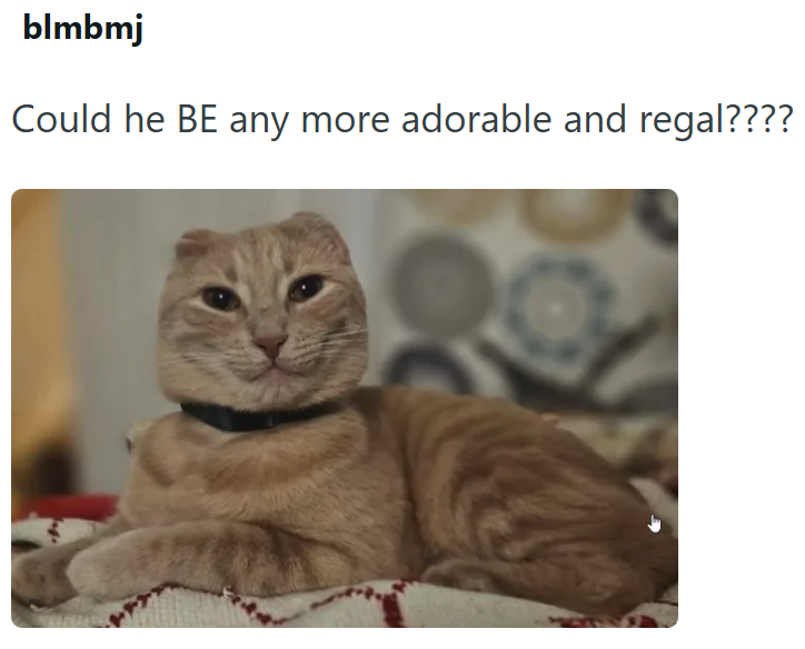 blmbmj Could he BE any more adorable and regal????