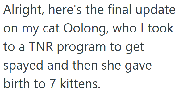Alright, here's the final update on my cat Oolong, who I took to a TNR program to get spayed and then she gave birth to 7 kittens.