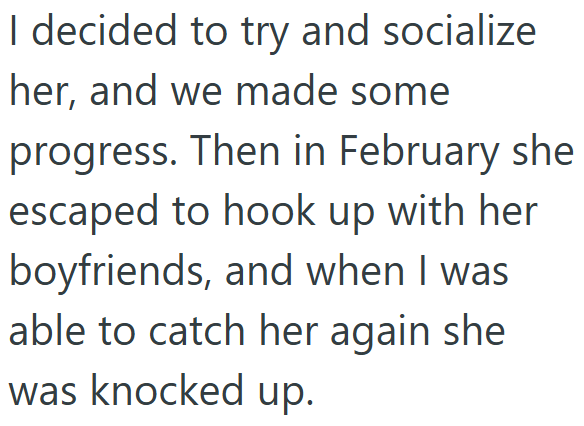 I decided to try and socialize her, and we made some progress. Then in February she escaped to hook up with her. boyfriends, and when I was able to catch her again she was knocked up.