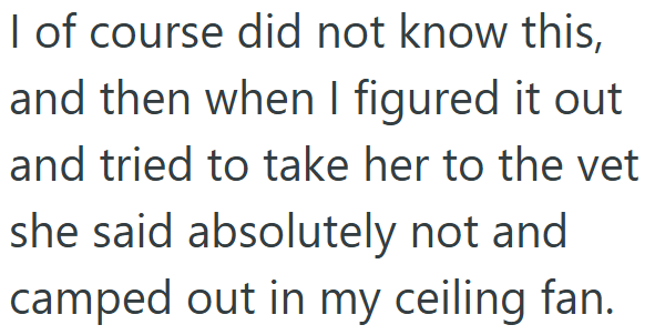 I of course did not know this, and then when I figured it out and tried to take her to the vet she said absolutely not and camped out in my ceiling fan.