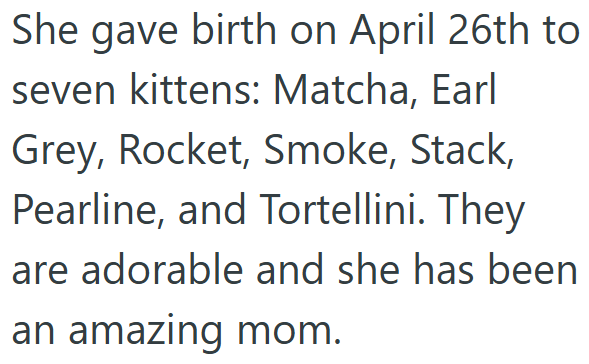 She gave birth on April 26th to seven kittens: Matcha, Earl Grey, Rocket, Smoke, Stack, Pearline, and Tortellini. They are adorable and she has been an amazing mom.