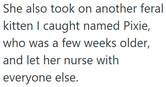 She also took on another feral kitten I caught named Pixie, who was a few weeks older, and let her nurse with everyone else.