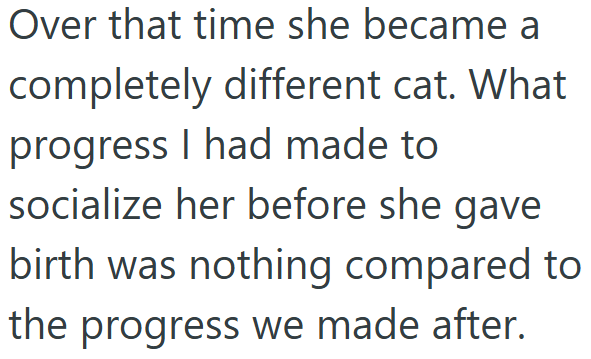 Over that time she became a completely different cat. What progress I had made to socialize her before she gave birth was nothing compared to the progress we made after.