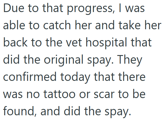 Due to that progress, I was able to catch her and take her back to the vet hospital that did the original spay. They confirmed today that there was no tattoo or scar to be found, and did the spay.