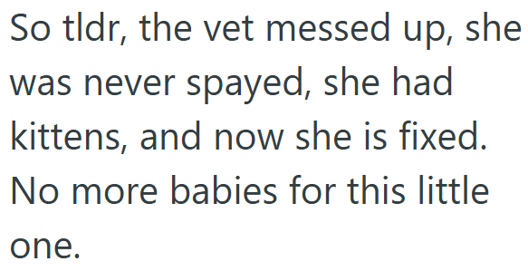 So tldr, the vet messed up, she was never spayed, she had kittens, and now she is fixed. No more babies for this little one.