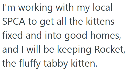 I'm working with my local SPCA to get all the kittens fixed and into good homes, and I will be keeping Rocket, the fluffy tabby kitten.