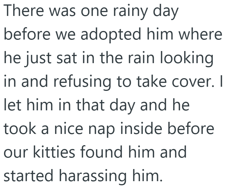 There was one rainy day before we adopted him where he just sat in the rain looking in and refusing to take cover. I let him in that day and he took a nice nap inside before our kitties found him and started harassing him.