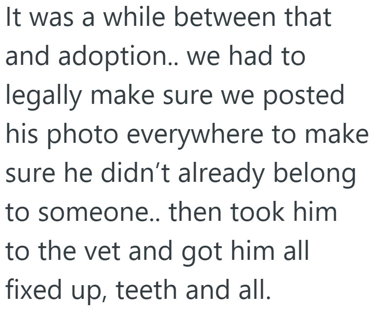 It was a while between that and adoption.. we had to legally make sure we posted his photo everywhere to make sure he didn't already belong to someone.. then took him to the vet and got him all fixed up, teeth and all.