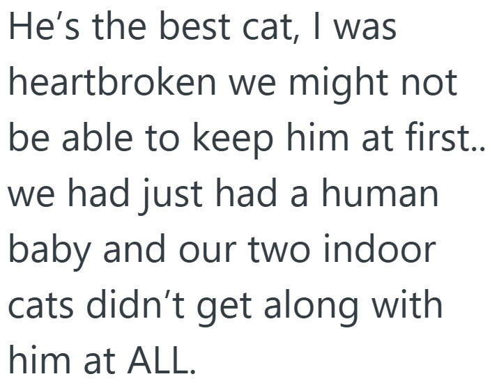 He's the best cat, I was heartbroken we might not be able to keep him at first.. we had just had a human baby and our two indoor cats didn't get along with him at ALL.