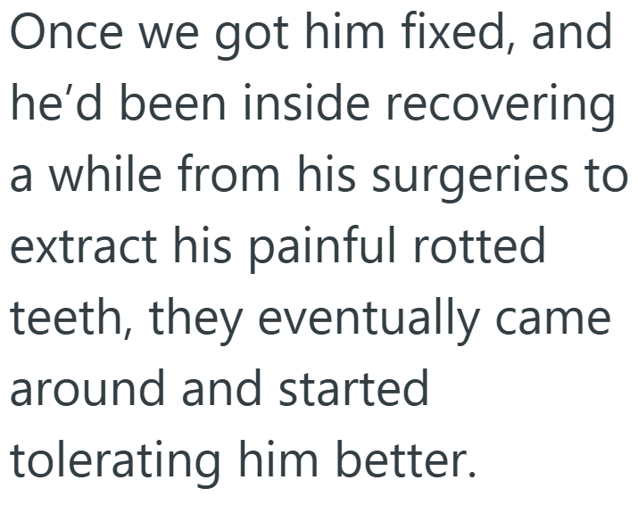 Once we got him fixed, and he'd been inside recovering a while from his surgeries to extract his painful rotted teeth, they eventually came around and started tolerating him better.