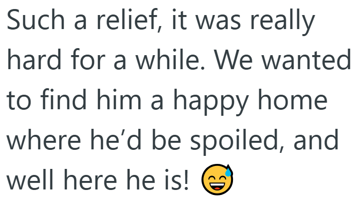 Such a relief, it was really hard for a while. We wanted to find him a happy home where he'd be spoiled, and well here he is! D
