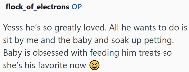 flock_of_electrons OP Yesss he's so greatly loved. All he wants to do is sit by me and the baby and soak up petting. Baby is obsessed with feeding him treats so she's his favorite now