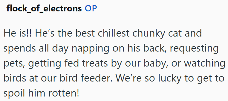 flock_of_electrons OP He is!! He's the best chillest chunky cat and spends all day napping on his back, requesting pets, getting fed treats by our baby, or watching birds at our bird feeder. We're so lucky to get to spoil him rotten!