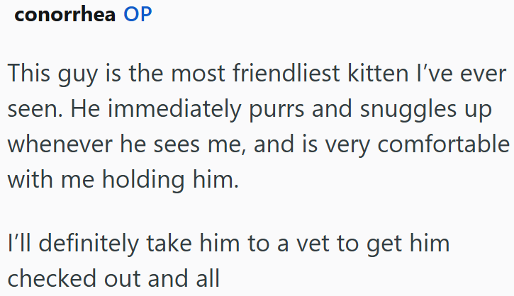 conorrhea OP This guy is the most friendliest kitten I've ever seen. He immediately purrs and snuggles up whenever he sees me, and is very comfortable with me holding him. I'll definitely take him to a vet to get him checked out and all