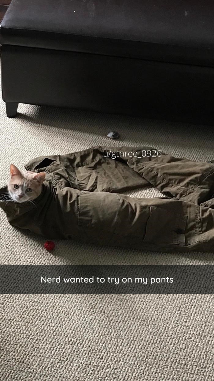 u/gthree 0926 Nerd wanted to try on my pants