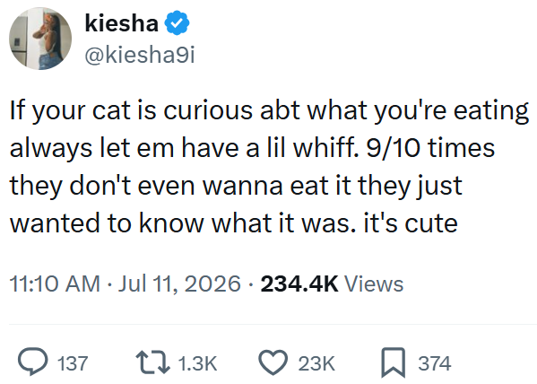 kiesha @kiesha9i If your cat is curious abt what you're eating always let em have a lil whiff. 9/10 times they don't even wanna eat it they just wanted to know what it was. it's cute 11:10 AM ⚫ Jul 11, 2026 234.4K Views 137 1.3K 23K 374