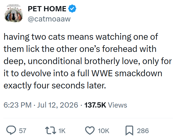 PET HOME @catmoaaw having two cats means watching one of them lick the other one's forehead with deep, unconditional brotherly love, only for it to devolve into a full WWE smackdown exactly four seconds later. 6:23 PM ⚫ Jul 12, 2026 · 137.5K Views → 57 1K 10K 口 286