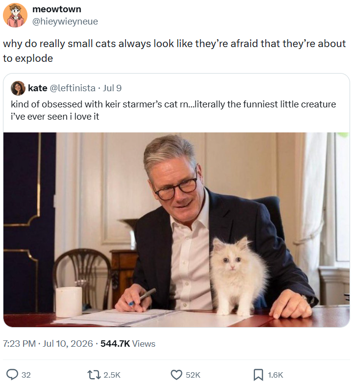 meowtown @hieywieyneue why do really small cats always look like they're afraid that they're about to explode kate @leftinista · Jul 9 kind of obsessed with keir starmer's cat rn...literally the funniest little creature i've ever seen i love it 7:23 PM Jul 10, 2026 544.7K Views 32 2.5K 52K 1.6K