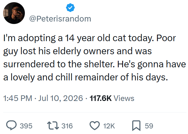 @Peterisrandom I'm adopting a 14 year old cat today. Poor guy lost his elderly owners and was surrendered to the shelter. He's gonna have a lovely and chill remainder of his days. 1:45 PM ⚫ Jul 10, 2026 117.6K Views 395 7316 12K 59