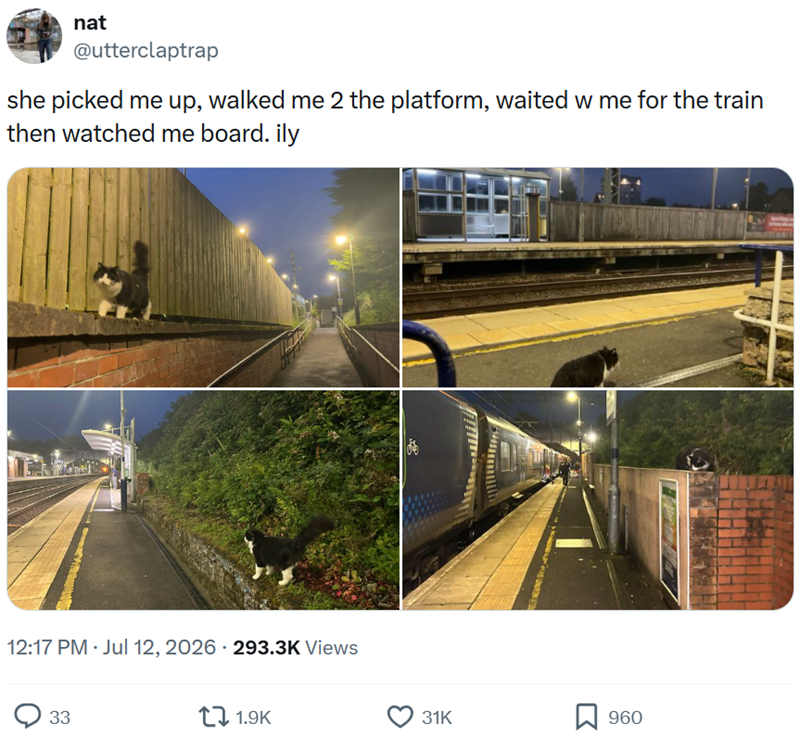 nat @utterclaptrap she picked me up, walked me 2 the platform, waited w me for the train then watched me board. ily • 12:17 PM ⚫ Jul 12, 2026 - 293.3K Views 33 1.9K 唱 31K 960