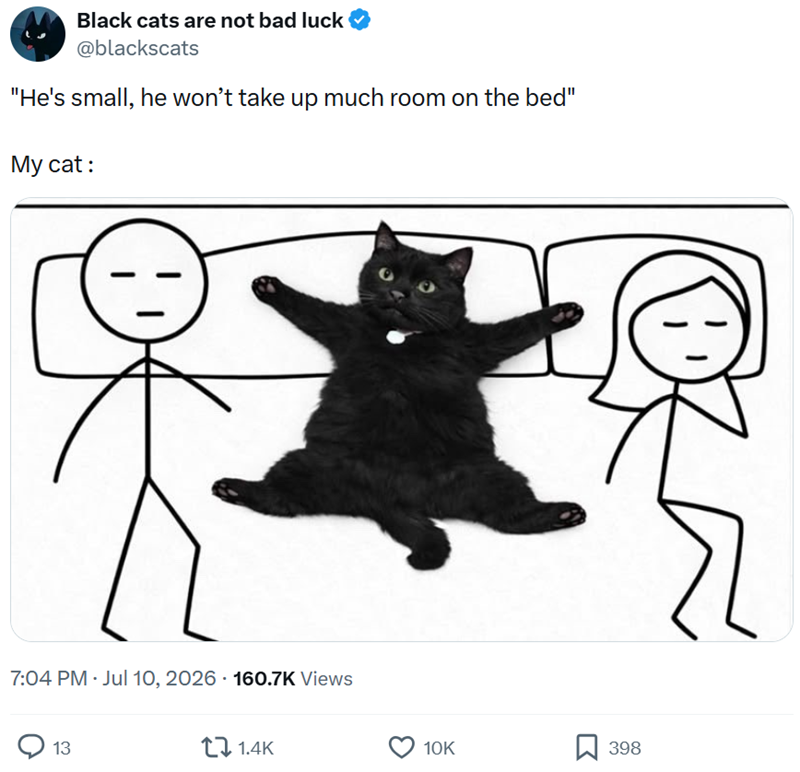 Black cats are not bad luck @blackscats "He's small, he won't take up much room on the bed" My cat : 7:04 PM - Jul 10, 2026 160.7K Views ◇ 13 1.4K 10K ☐ 398