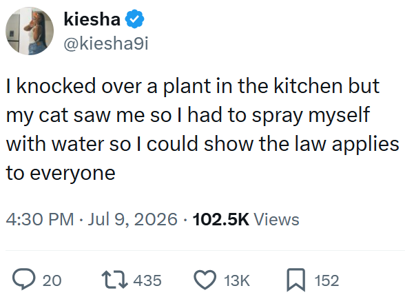 kiesha @kiesha9i I knocked over a plant in the kitchen but my cat saw me so I had to spray myself with water so I could show the law applies to everyone 4:30 PM ⚫ Jul 9, 2026 102.5K Views 20 17435 13K 152