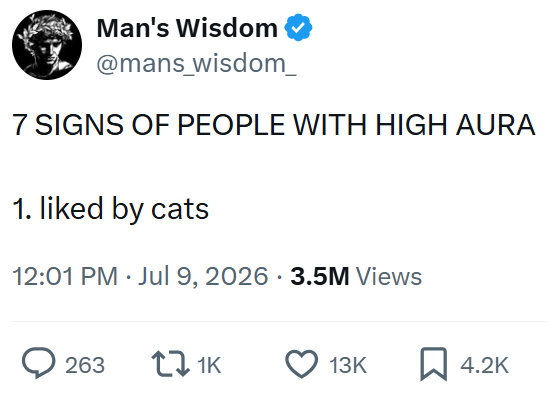 Man's Wisdom @mans_wisdom_ 7 SIGNS OF PEOPLE WITH HIGH AURA 1. liked by cats 12:01 PM ⚫ Jul 9, 2026 3.5M Views > 263 1K 13K ☐ 4.2K