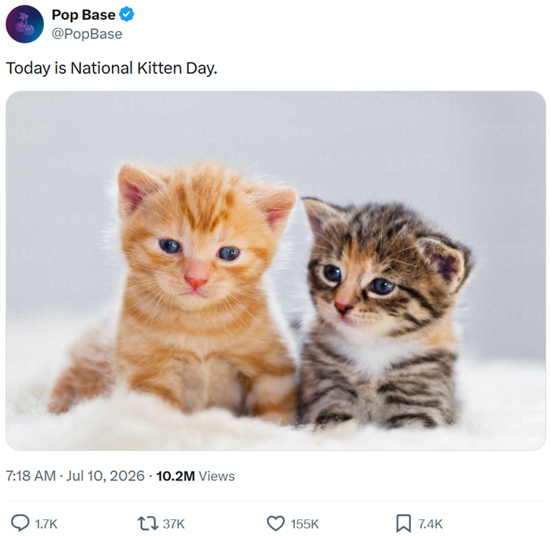 Pop Base @PopBase Today is National Kitten Day. 7:18 AM · Jul 10, 2026 10.2M Views 1.7K 137K 155K 7.4K