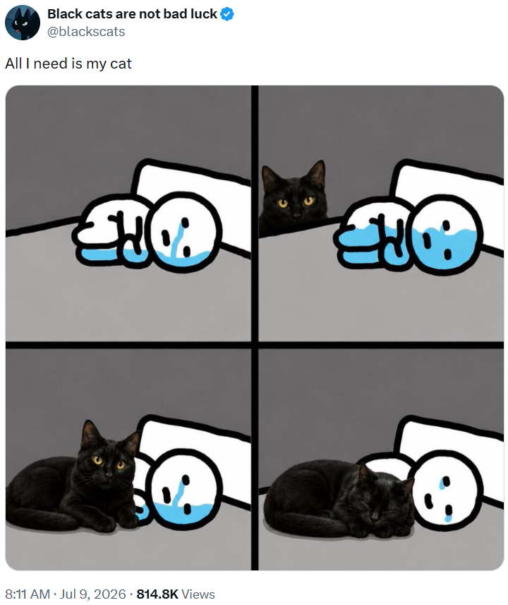Black cats are not bad luck @blackscats All I need is my cat 8:11 AM ⚫ Jul 9, 2026 - 814.8K Views
