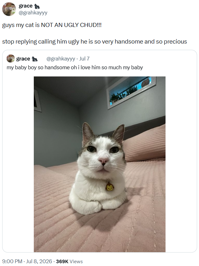 grace @grahkayyy guys my cat is NOT AN UGLY CHUD!!! stop replying calling him ugly he is so very handsome and so precious grace @grahkayyy - Jul 7 my baby boy so handsome oh i love him so much my baby 9:00 PM - Jul 8, 2026 - 369K Views