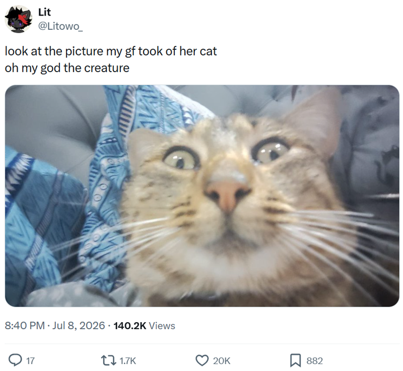 Lit @Litowo_ look at the picture my gf took of her cat oh my god the creature 8:40 PM - Jul 8, 2026 140.2K Views 17 1.7K 20K 882