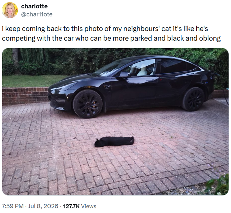 charlotte @char11ote i keep coming back to this photo of my neighbours' cat it's like he's competing with the car who can be more parked and black and oblong • 7:59 PM ⚫ Jul 8, 2026 127.7K Views