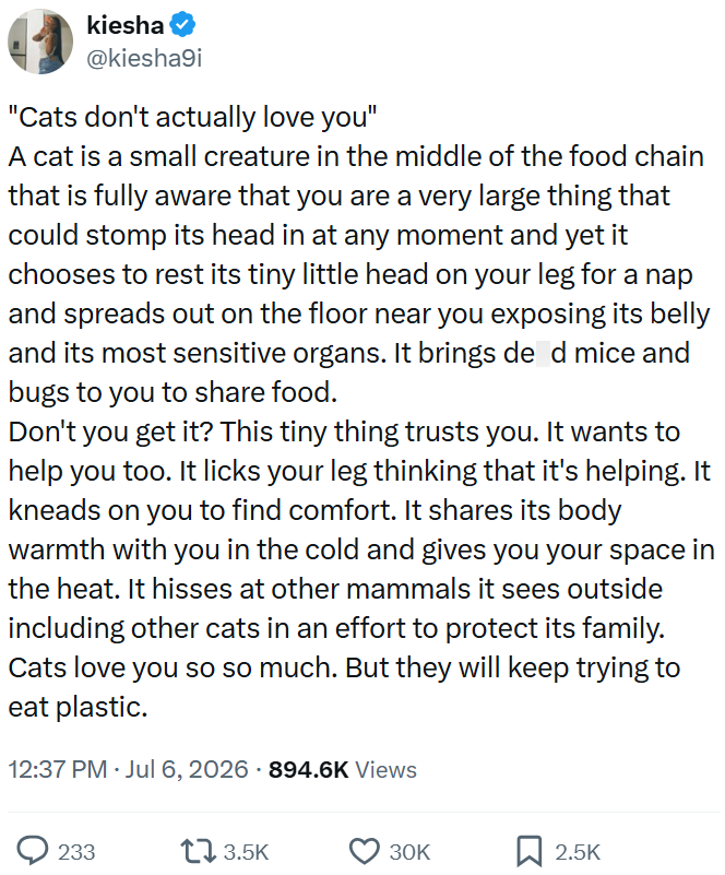 kiesha @kiesha9i "Cats don't actually love you" A cat is a small creature in the middle of the food chain that is fully aware that you are a very large thing that could stomp its head in at any moment and yet it chooses to rest its tiny little head on your leg for a nap and spreads out on the floor near you exposing its belly and its most sensitive organs. It brings de d mice and bugs to you to share food. Don't you get it? This tiny thing trusts you. It wants to help you too. It licks your leg